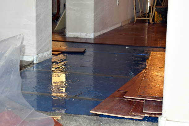 Professional Burst Pipe Cleanup technician working in Candia, NH